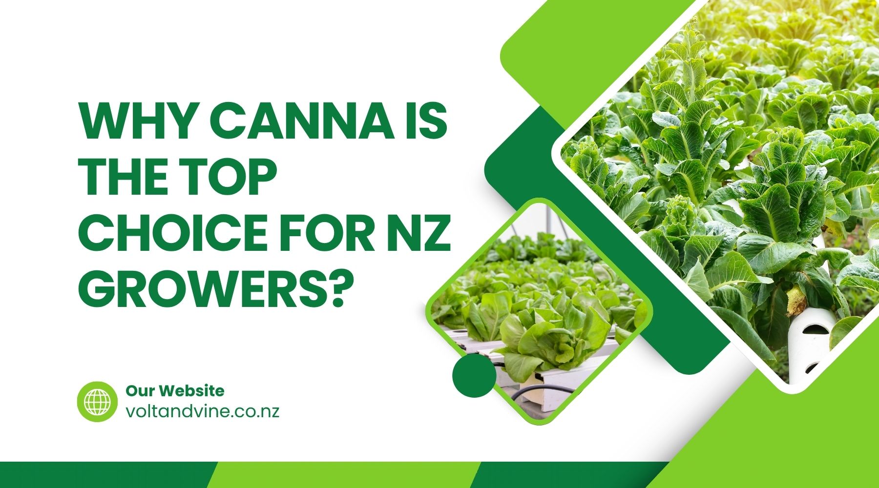 CANNA Nutrients Guide NZ Grow Stronger with Volt & Vine