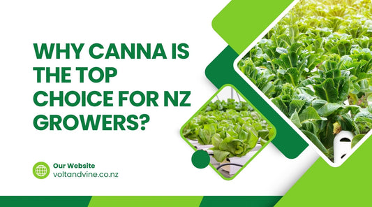 Why CANNA Is the Top Choice for NZ Growers?