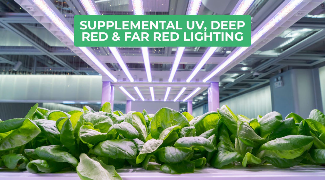 Boost Growth with UV, Deep Red & Far Red LEDs in Your Indoor Garden