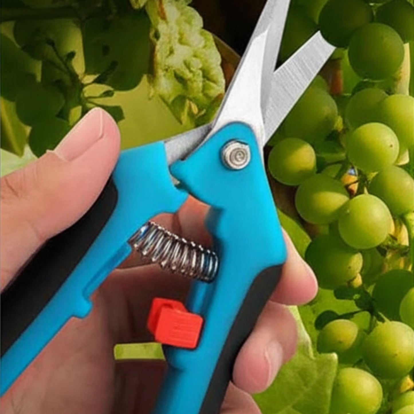 Kéo cắt tỉa đa năng Greener – Máy cắt tỉa bằng thép không gỉ NZ