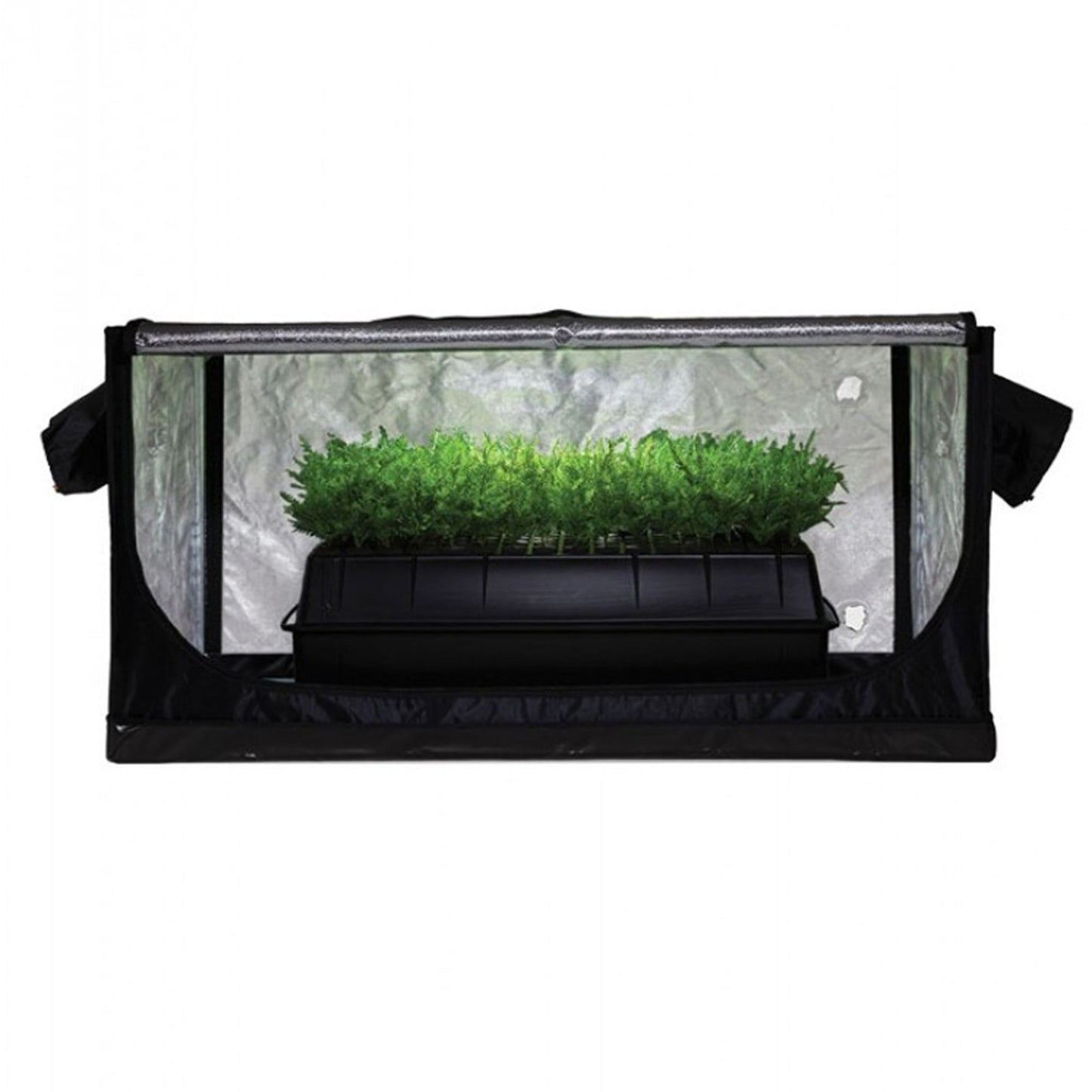 Jungle Room Propagation Tent 85cm x 50cm x 40cm, a compact tent with a reflective interior, housing a tray of vibrant green sprouts, perfect for seed starting and cloning in New Zealand