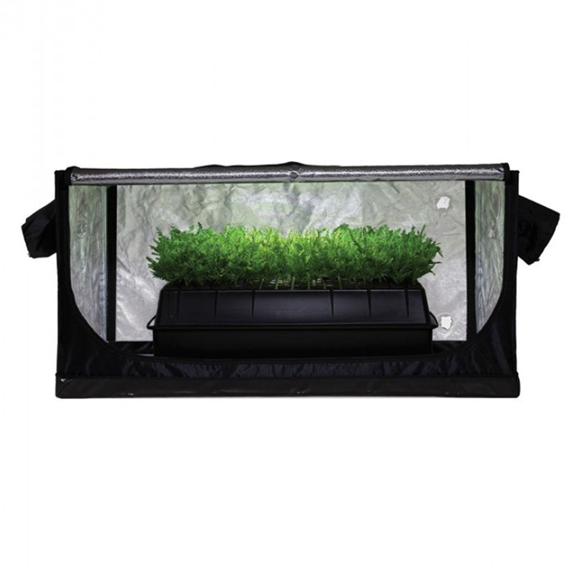 Jungle Room Propagation Tent 85cm x 50cm x 40cm, a compact tent with a reflective interior, housing a tray of vibrant green sprouts, perfect for seed starting and cloning in New Zealand