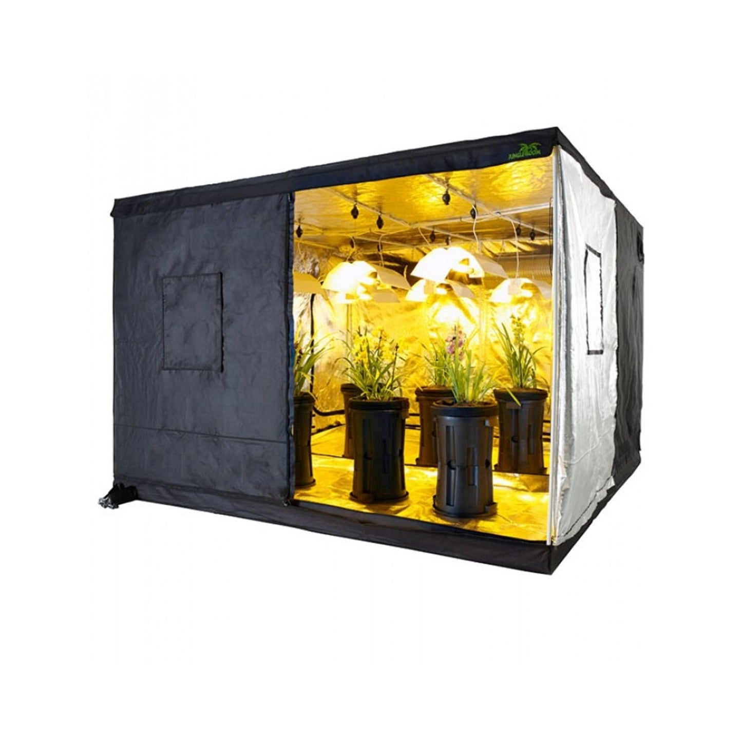 Spacious Jungle Room Grow Tent 240cm x 240cm x 200cm, with a highly reflective interior, housing multiple plants illuminated by warm-toned grow lights, perfect for large-scale indoor cultivation projects in New Zealand