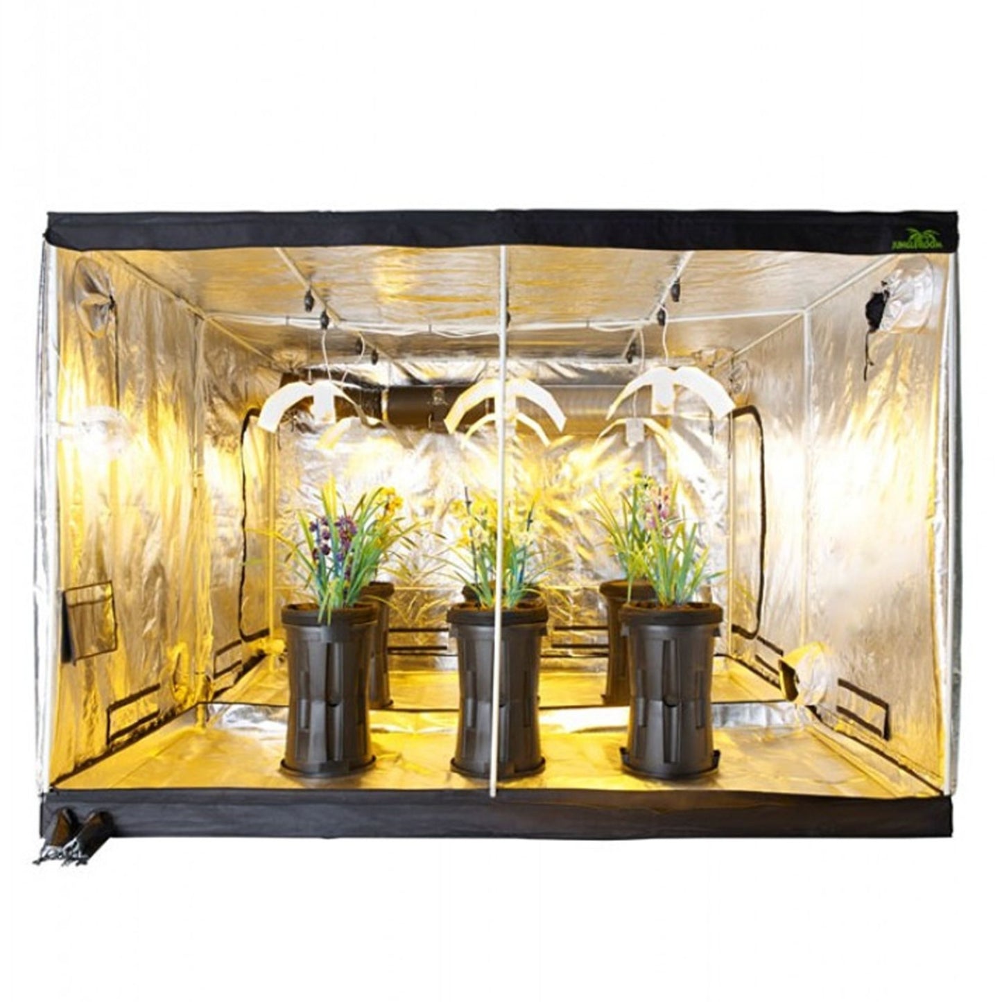 Jungle Room Grow Tent 295cm x 295cm x 230cm, showcasing its height and reflective interior, filled with healthy potted plants under installed grow lights, designed for high-yielding cultivation in New Zealand
