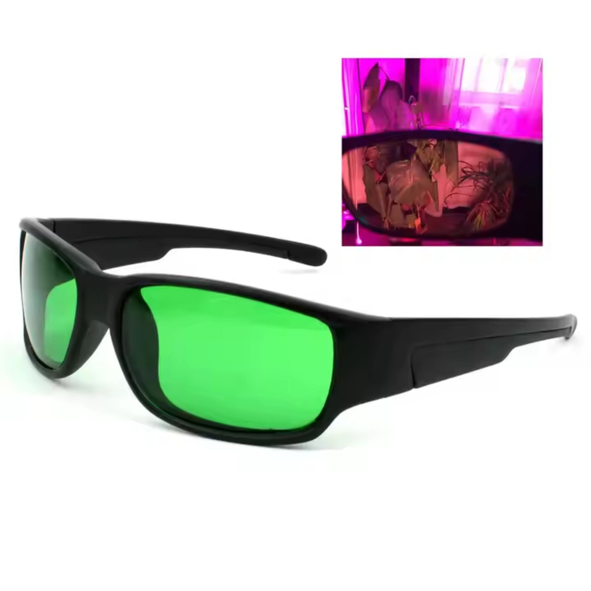 Black-framed LED grow light glasses with green lenses, demonstrating how they correct the purple hue of LED grow lights to reveal natural plant colors, offering essential UV eye protection for indoor gardeners in New Zealand