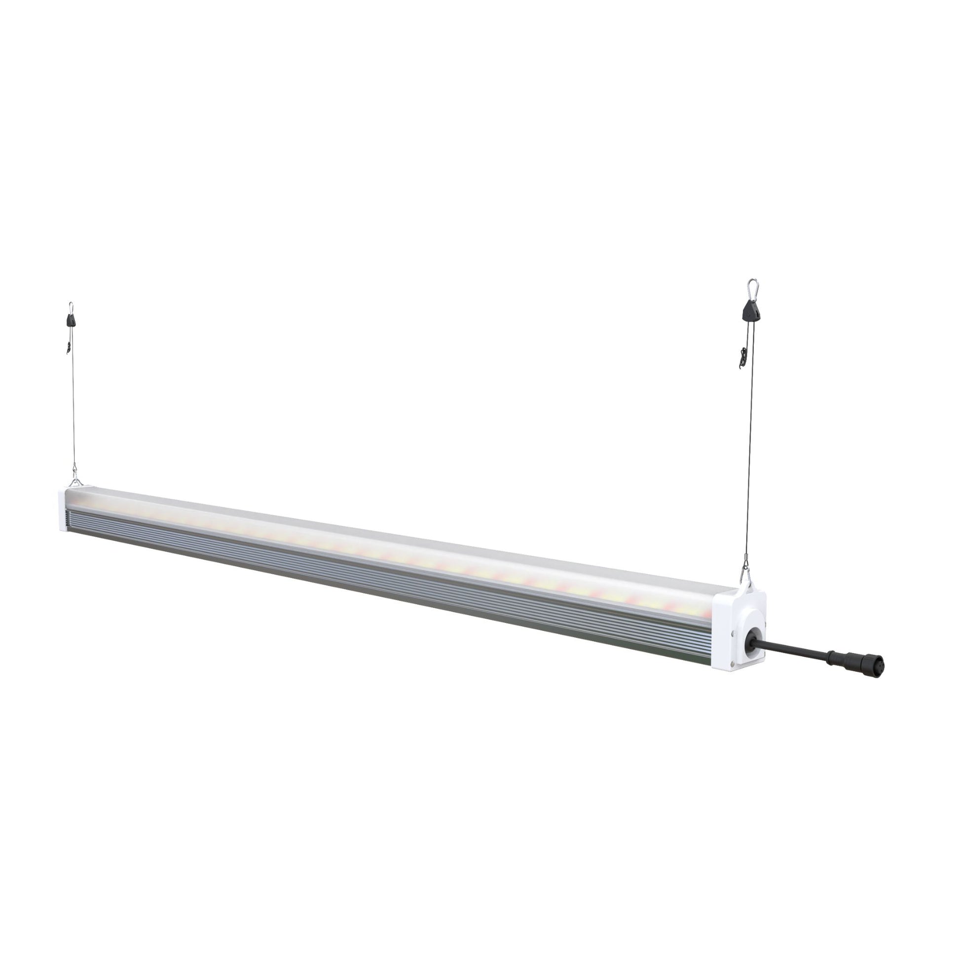 A single RYGH TECH 120W LED Under Canopy Grow Light bar, suspended by hanging wires, illustrating an easy overhead installation method for plant cultivation in New Zealand grow tents or vertical farms