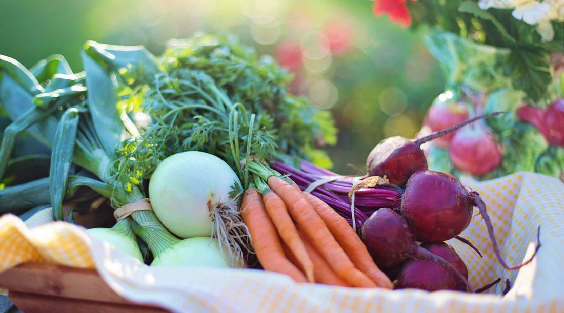 A basket overflowing with fresh, colorful garden vegetables