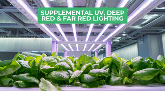 Boost Growth with UV, Deep Red & Far Red LEDs in Your Indoor Garden