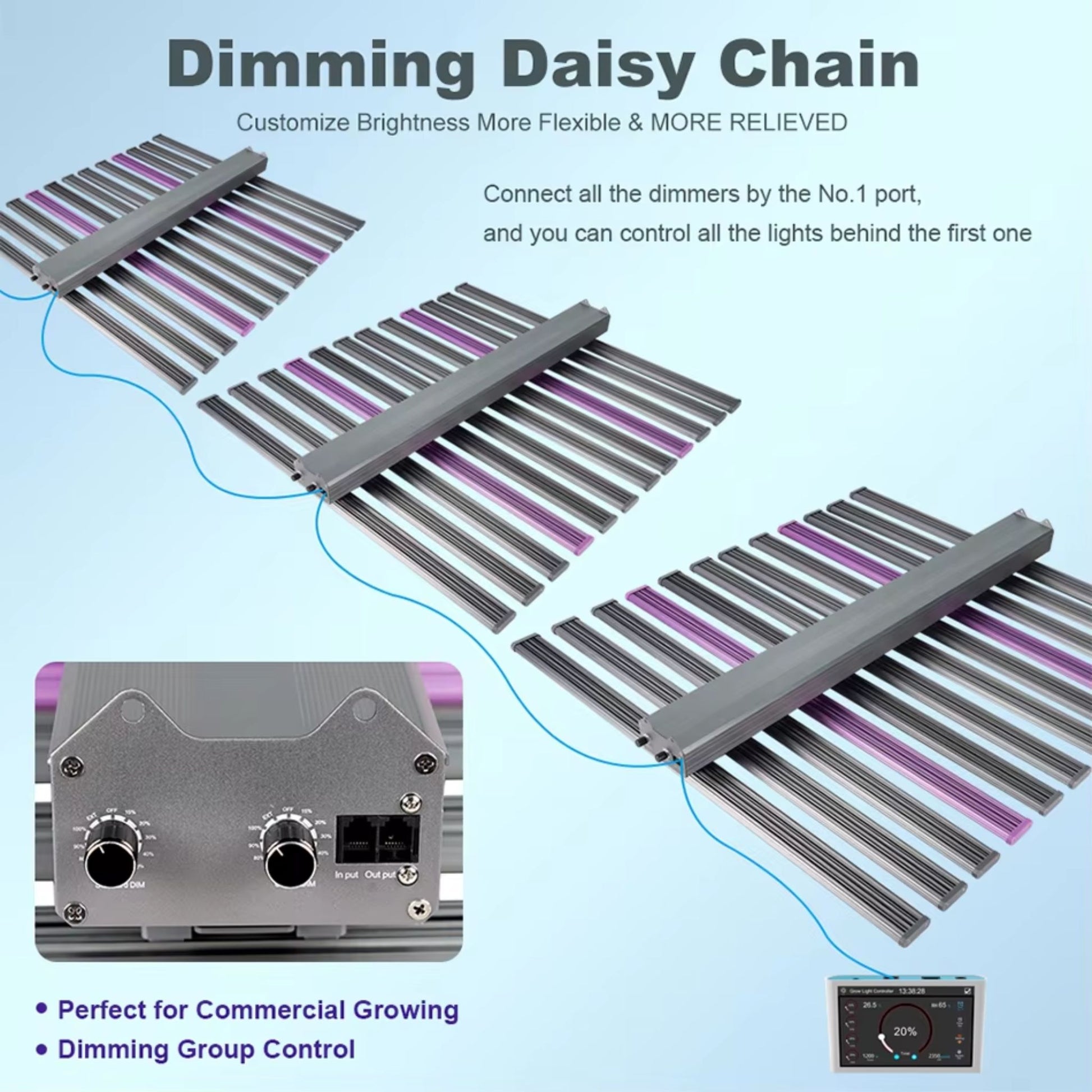 Graphic illustrating the Dimming Daisy Chain feature of the 1060W LED Grow Light, showing multiple fixtures connected for synchronized brightness control via a single master unit, ideal for commercial growing and group control in New Zealand