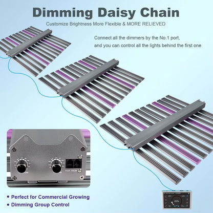 Graphic illustrating the Dimming Daisy Chain feature of the 1060W LED Grow Light, showing multiple fixtures connected for synchronized brightness control via a single master unit, ideal for commercial growing and group control in New Zealand