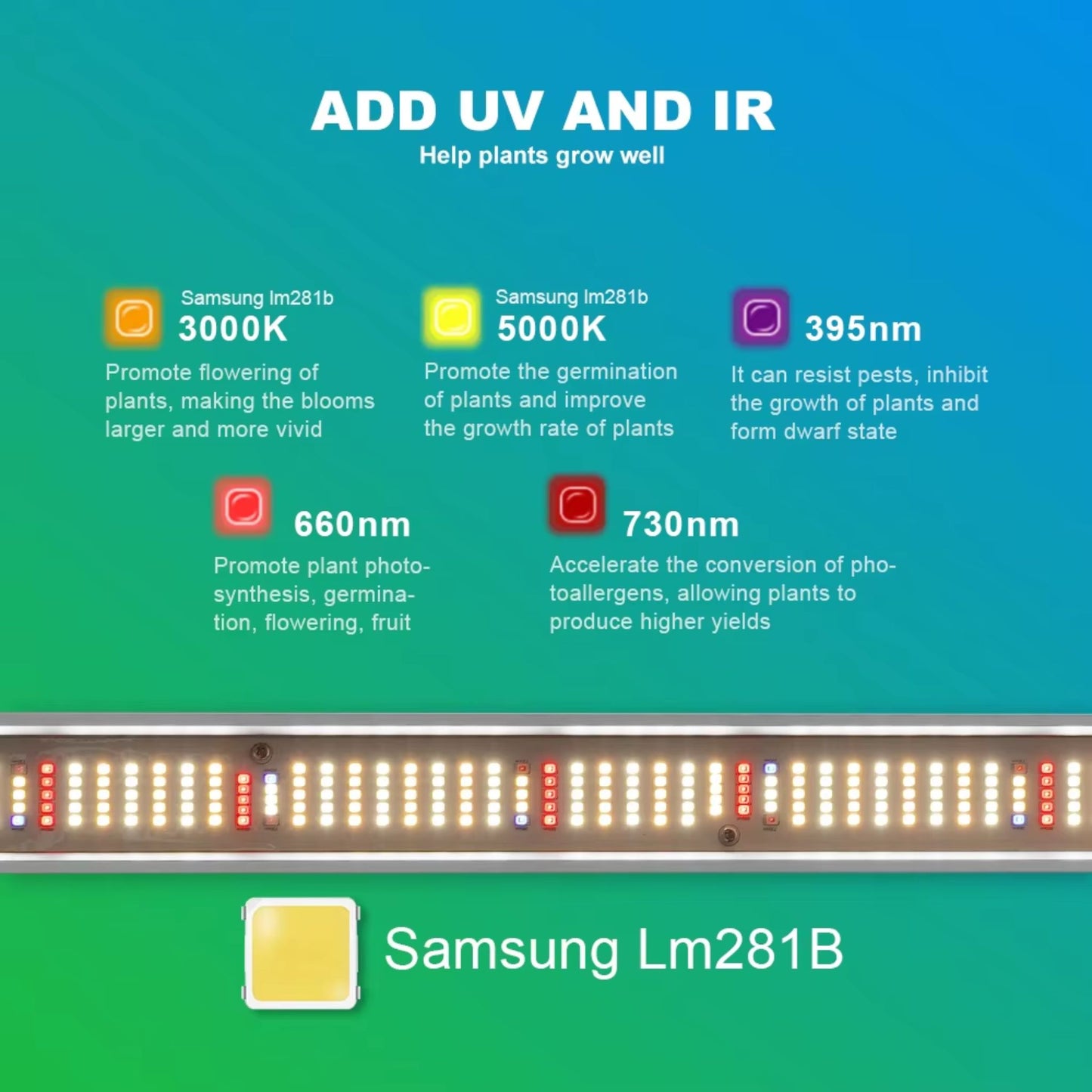 Detailed graphic of the MEIJIU-1988-F10-GL1000W LED Grow Light's individual Samsung LM281B LED chips, explaining the benefits of UV (395nm) for pest resistance, IR (730nm) for flowering/yield, and 3000K/5000K/660nm/450nm chips for promoting robust growth, flowering, and fruiting in New Zealand