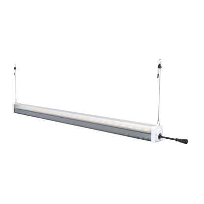 A single RYGH TECH 120W LED Under Canopy Grow Light bar, suspended by hanging wires, illustrating an easy overhead installation method for plant cultivation in New Zealand grow tents or vertical farms