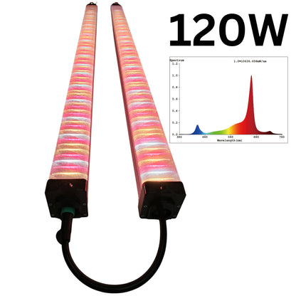 Two illuminated RYGH TECH 120W LED Under Canopy Grow Light bars, showcasing their full spectrum output with a visible spectrum graph overlay, designed to deliver optimal light quality for vigorous plant growth in New Zealand. 